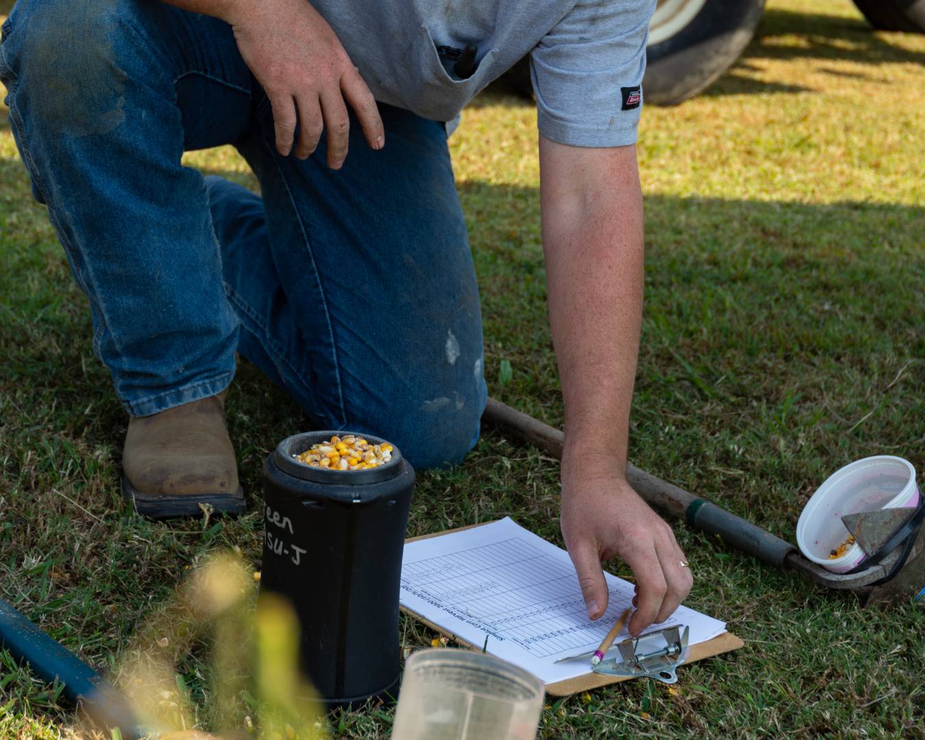 A student bending to pick up a clipboard to take notes on a corn harvest project.