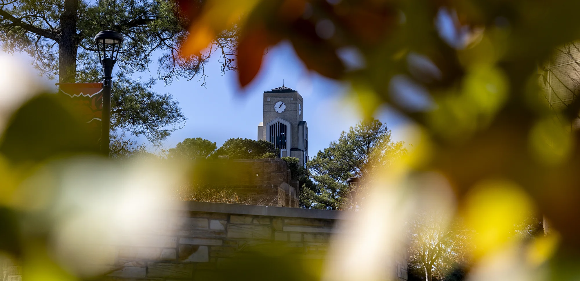 The Dean B. Ellis Library Clocktower, framed by autumn leaves