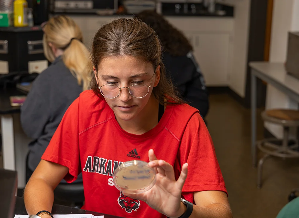 Student inspecting a petri dish.