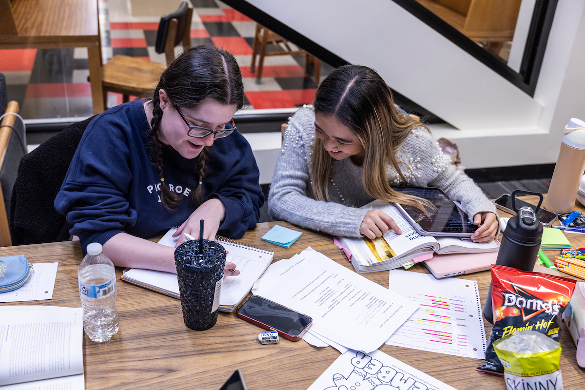 Two students work together to study in the library