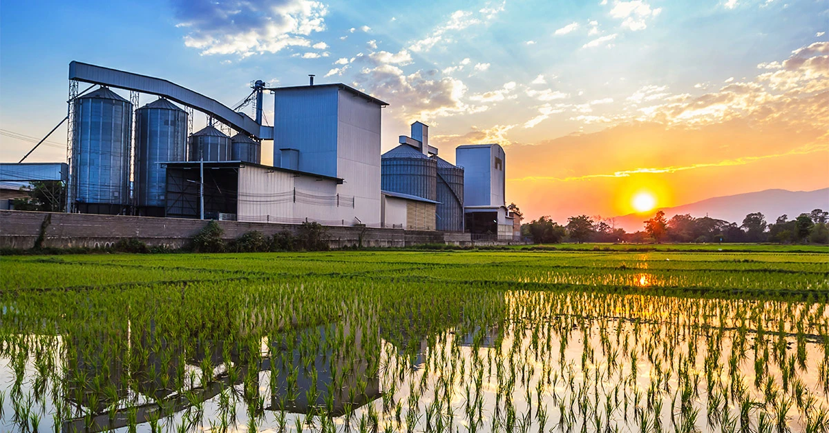 Planning for Prevention