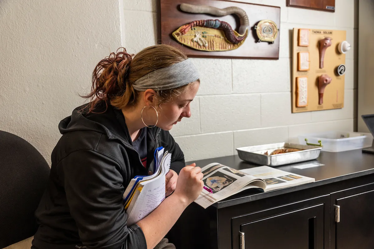 A student studies in an animal biology lab
