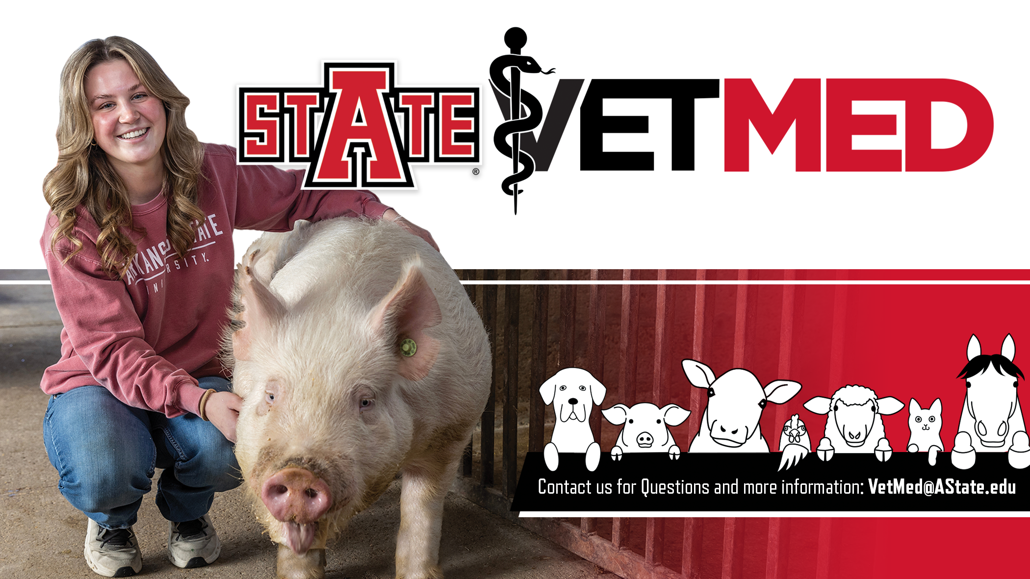 Click to play video.