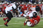 godaddy-bowl-2014-041