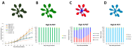 Color classified images and the quantitative data that comes with them. (A) A visible image of Arabidopsis after it has been extracted from the background. After processing with LemnaGrid, information such as projected leaf area (graph featured below) can be accurately calculated in square centimeters. (B) The visible image is then color classified to identify chlorotic spots on the leaf. Panel B shows a healthy plant, along with a graph of genotype health over the entire experiment. (C) Color classified image captured by the fluorescence camera and its data below. (D) Color classified image captured by the near infrared camera and the associated water content graph below.​