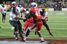 godaddy-bowl-2014-046