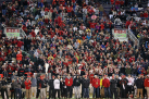 godaddy-bowl-2014-055