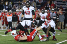 godaddy-bowl-2014-042