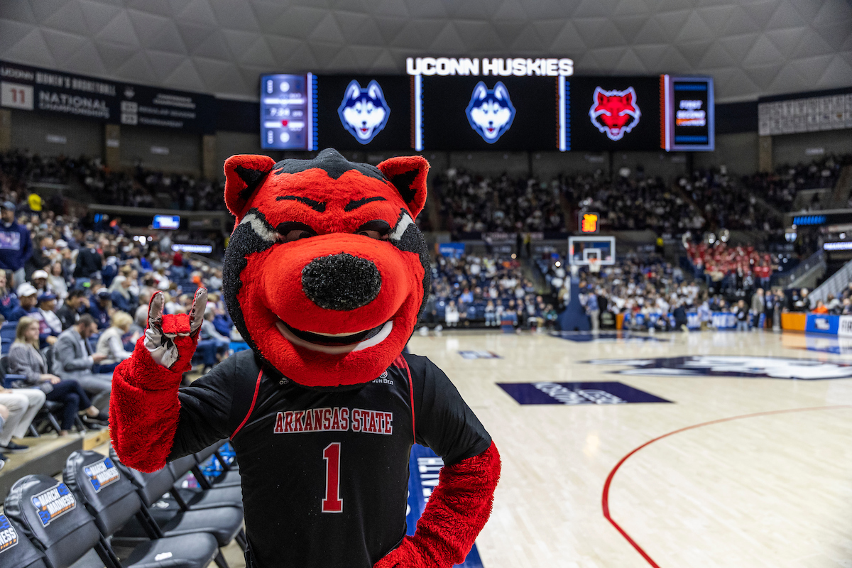 Howl, A-State’s mascot, puts his Wolves Up before the women’s basketball team plays UCONN during NCAA March Madness.