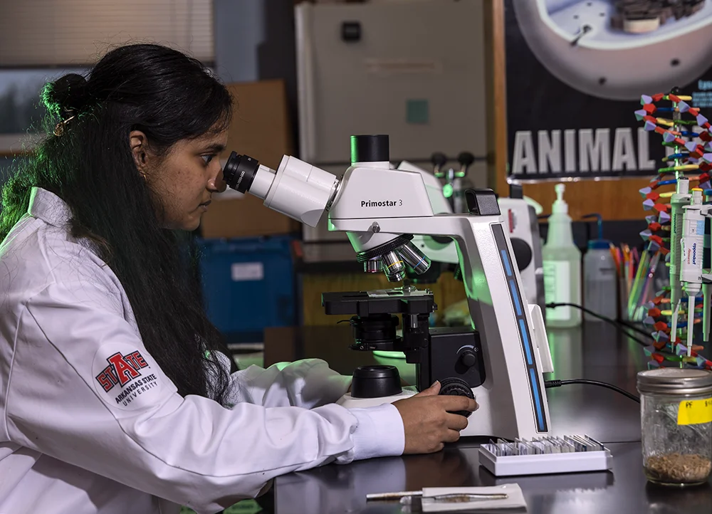 A-State student in lab coat looking through a microscope.