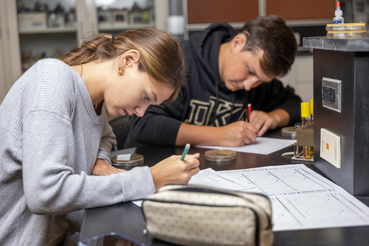 Students focus in the lab while completing science diagram worksheets.