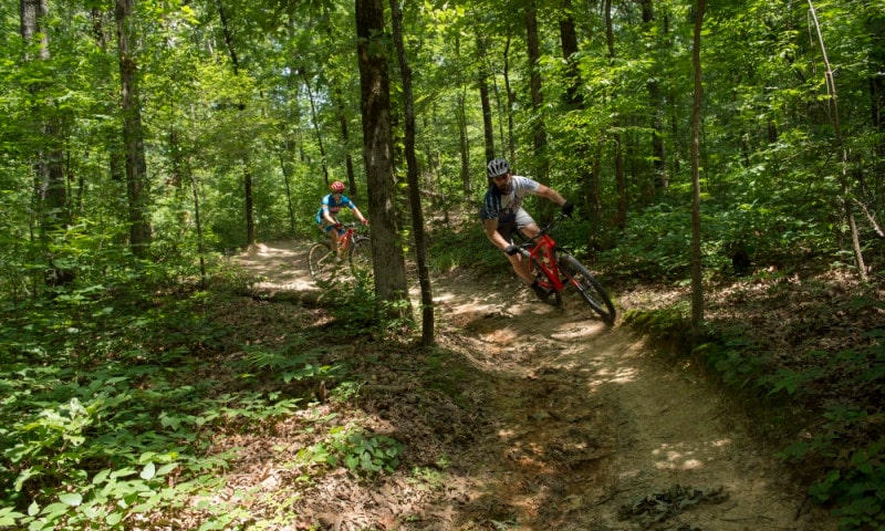 Two cyclists ride a dirt trail through Craighead Forest.
