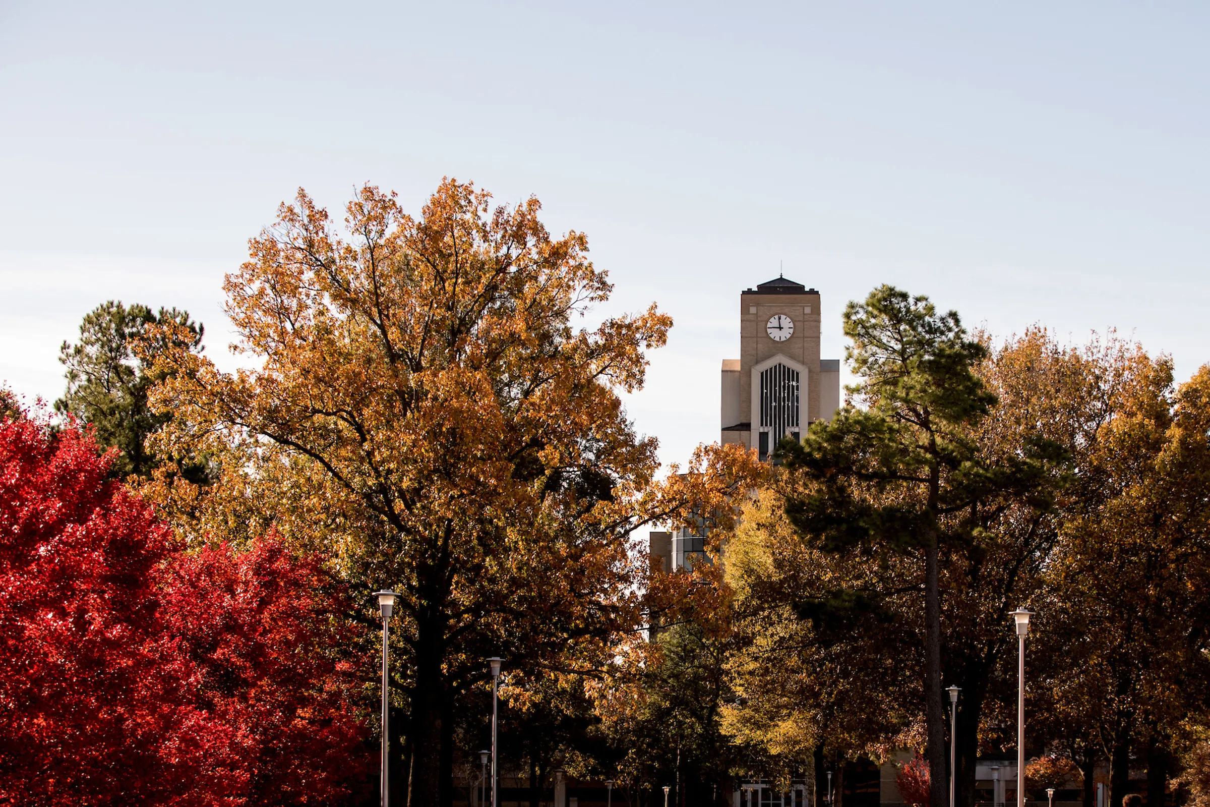 The Dean B. Ellis Library peeks out from a beautiful line of fall foliage on campus.